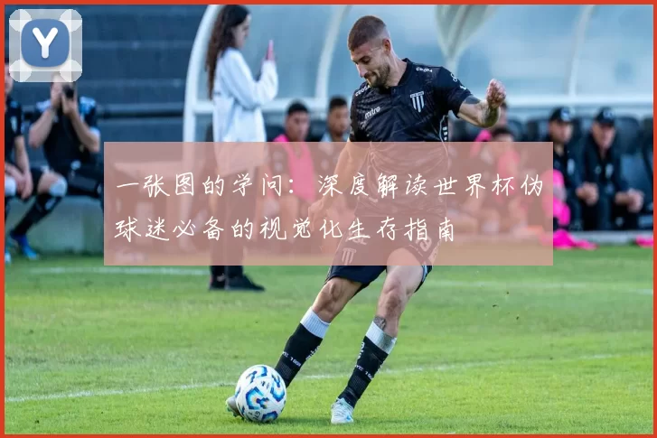 一张图的学问：深度解读世界杯伪球迷必备的视觉化生存指南