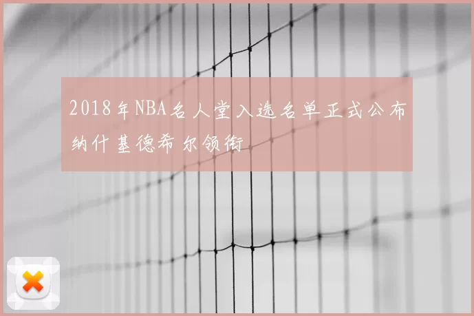 2018年NBA名人堂入选名单正式公布纳什基德希尔领衔