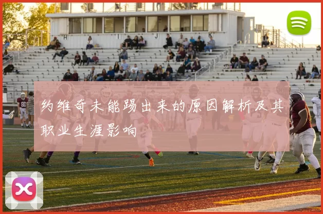 约维奇未能踢出来的原因解析及其职业生涯影响