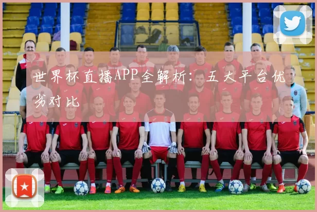 世界杯直播APP全解析：五大平台优劣对比