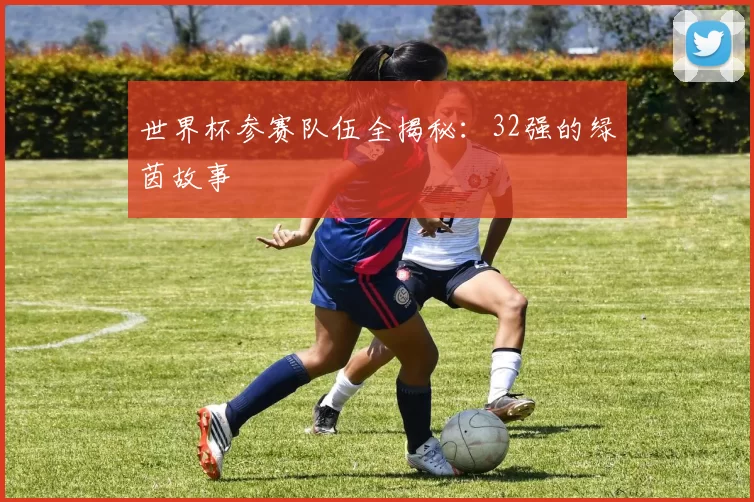 世界杯参赛队伍全揭秘：32强的绿茵故事