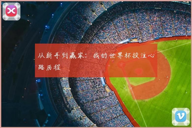 从新手到赢家：我的世界杯投注心路历程