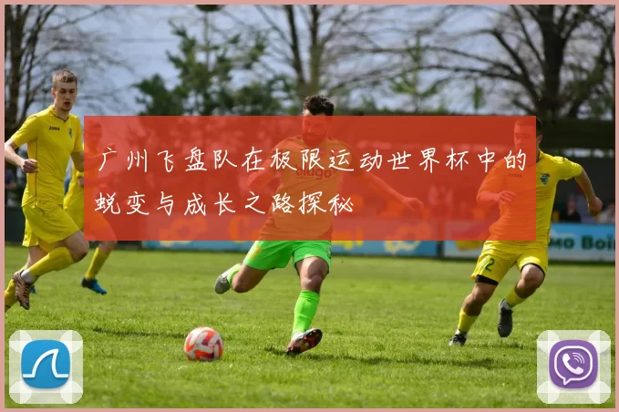 广州飞盘队在极限运动世界杯中的蜕变与成长之路探秘