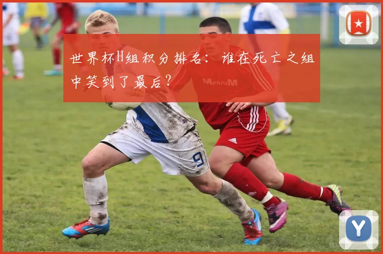 世界杯H组积分排名:谁在死亡之组中笑到了最后?