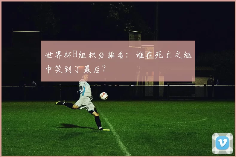 世界杯H组积分排名:谁在死亡之组中笑到了最后?