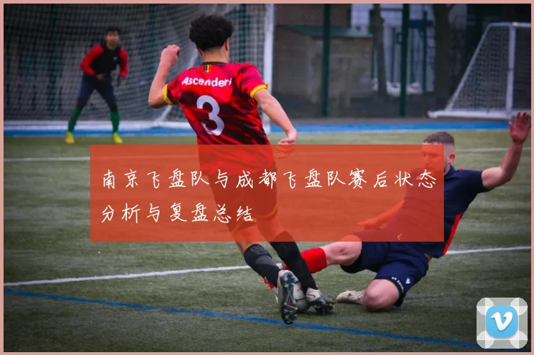 南京飞盘队与成都飞盘队赛后状态分析与复盘总结