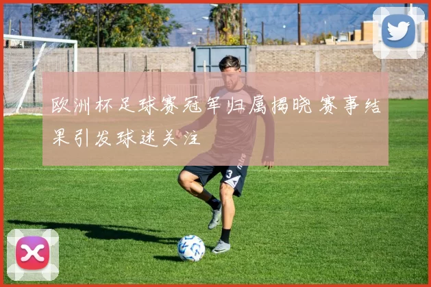 欧洲杯足球赛冠军归属揭晓 赛事结果引发球迷关注