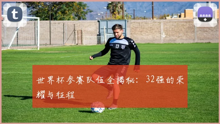 世界杯参赛队伍全揭秘:32强的荣耀与征程