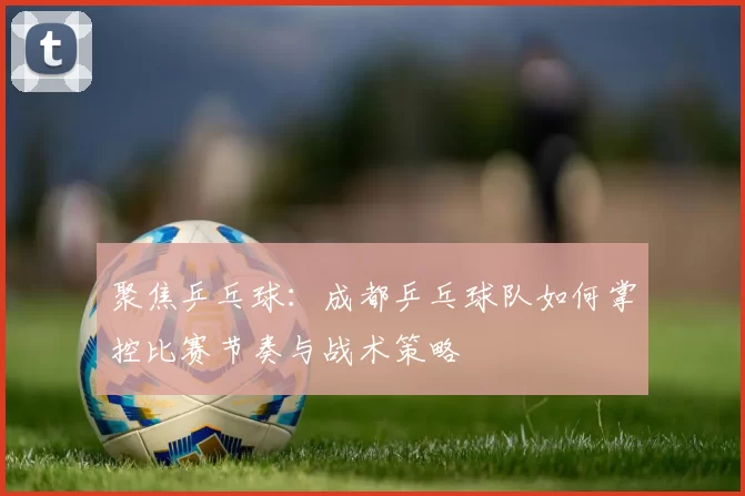 聚焦乒乓球：成都乒乓球队如何掌控比赛节奏与战术策略